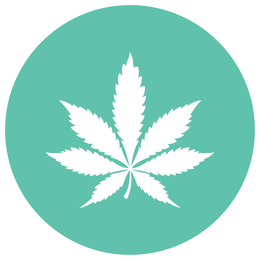 Majority of UK cannabis is high potency skunk - Randox Testing Services